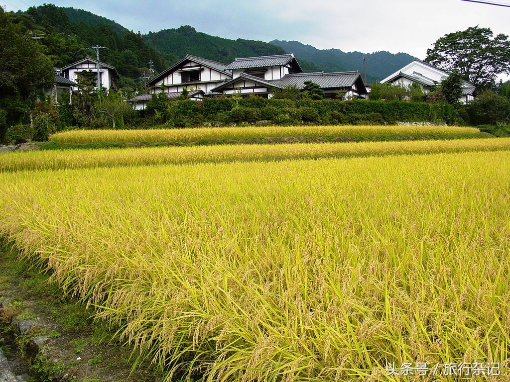 日本农村，真的很干净