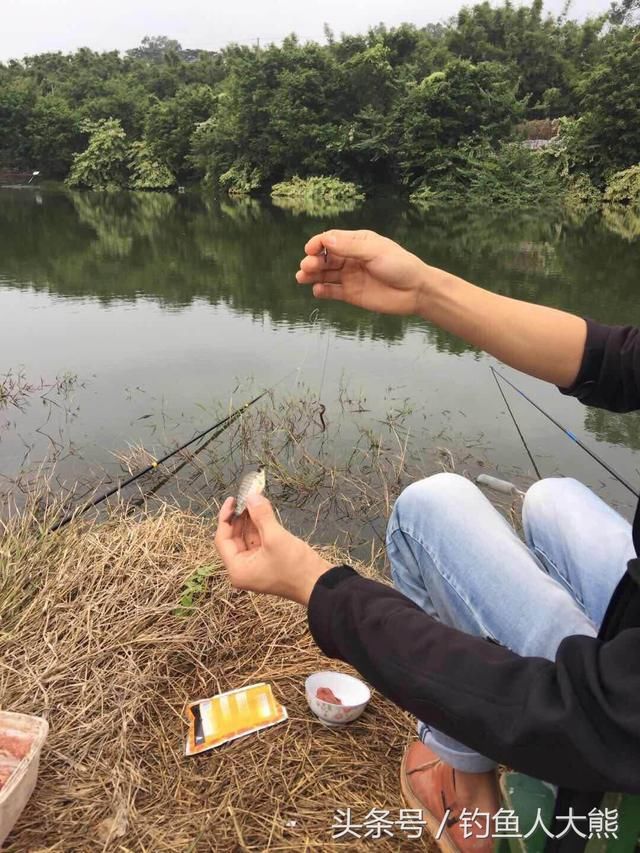 春季钓到了大鲤鱼，在野战蓝鲫中加入这2种饵料后鲤鱼更爱吃！