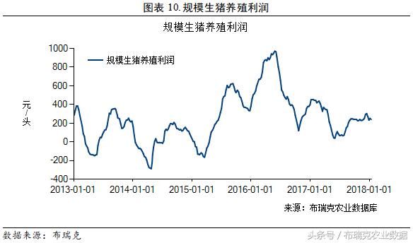 本周国内玉米价格小幅上涨