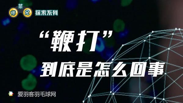 一文看懂丨“鞭打”到底是怎么回事
