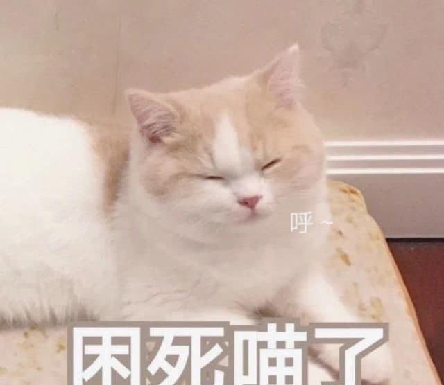 礼物撒娇别买老婆了,用排队表情撩她,生气感来表情包快促进的图片