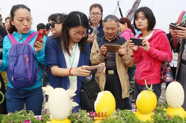 2018蒲城西甜瓜节暨休闲采摘体验季启动仪式举行