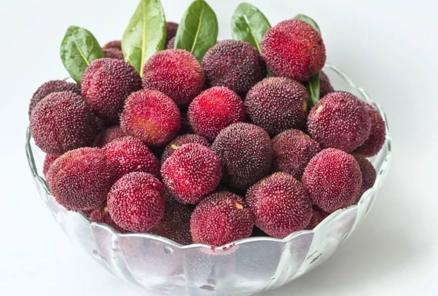 在农村,种植水果也可以领补贴,符合这四项,政府