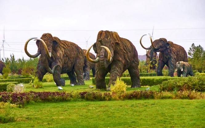 10000年前,巨兽生活过的地方--猛犸公园