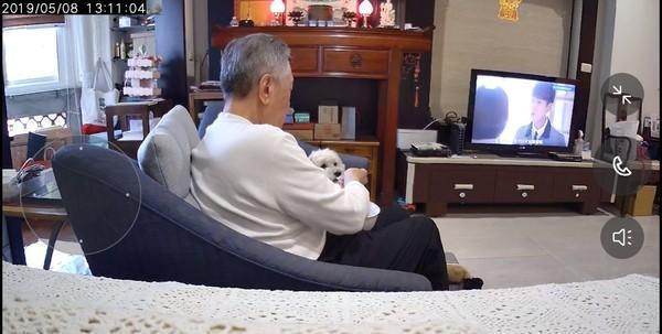 狗狗不吃狗狗不