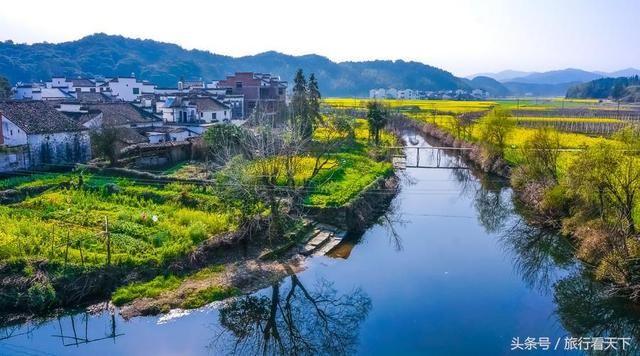 3月油菜花开，这9个地方有全中国最美的花海，你最想去哪个