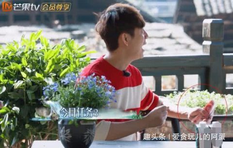 《向往3》一季生活费200元,再看何炅手里钱的