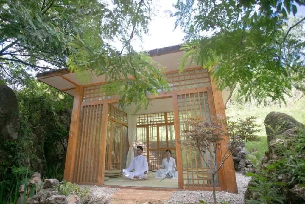 我在梨花盛开的听紫云，候你佳音！