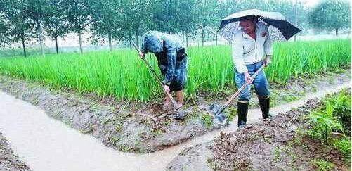 这几种宅基地要交税