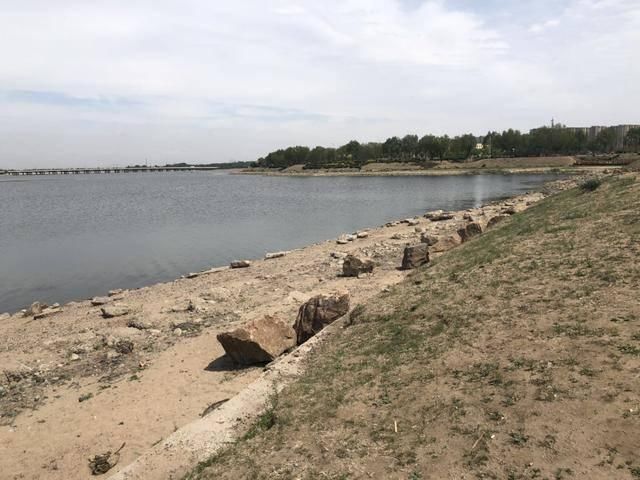 沈阳丁香湖水位下降3米多湖中间土地露出 二三里实地探访