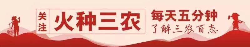 农村夫妇在家种地打工两不误，一年收入15万