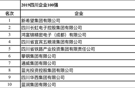 2019中国前100强企业