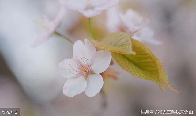 这３９句话，看懂了就都能想通人生！