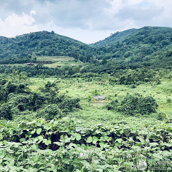 曼谷好去处-泰国基友带我去山里吃榴莲