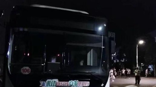 痴迷少年!14岁男孩偷开公交撞伤路人 结果悲