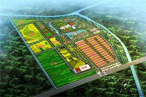 中国现代农业前景如何?