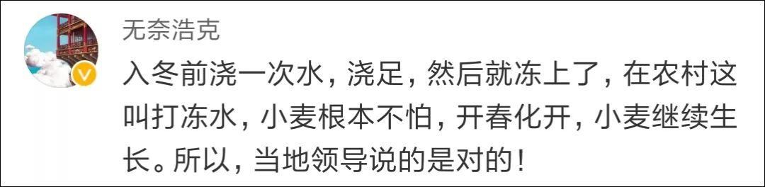 村民将麦田改为停车场遭网友质疑，地方政府霸气回应称...