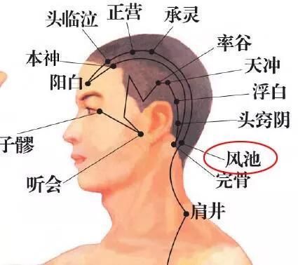 几招简单实用的推拿按摩 帮你轻松搞定“节后综合征”