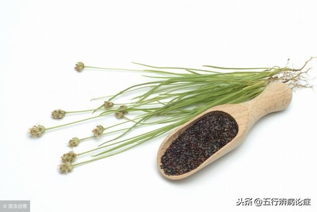 什么是龙胆泻肝汤 t01839d82bb326782cd.jpg