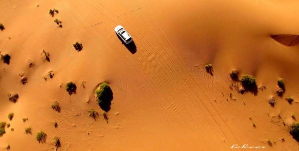 荒漠也不是荒漠了