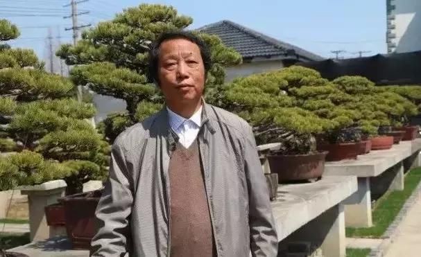 苍枝傲骨匠人心盛影蛟老师谈盆景艺术