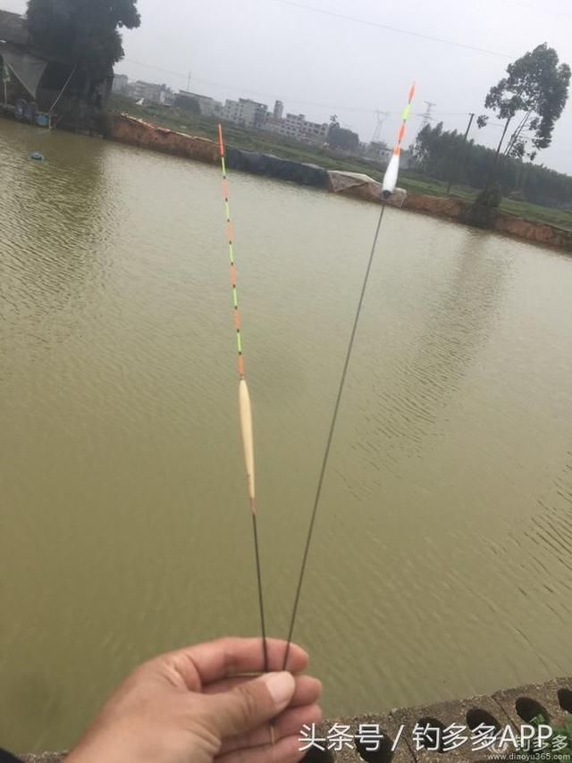 流氓漂开光擒标鱼,忽然停口状况下钓获16斤