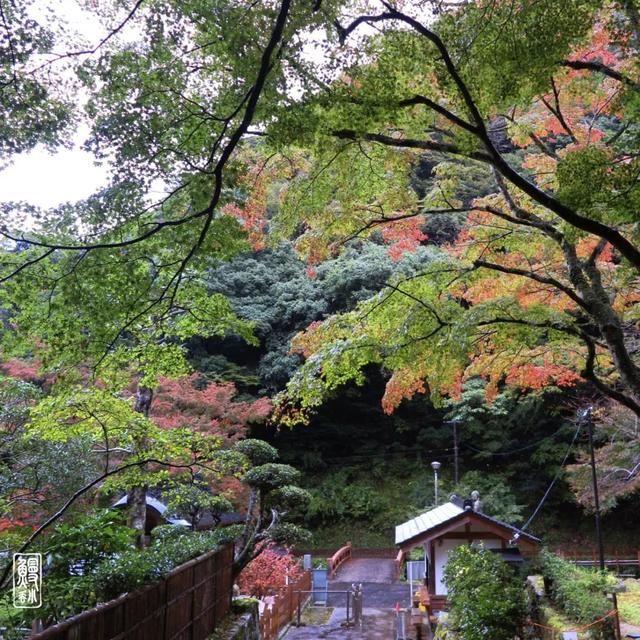 据说来这座神社拜一拜，老天就会送你一枚男\/女朋友？