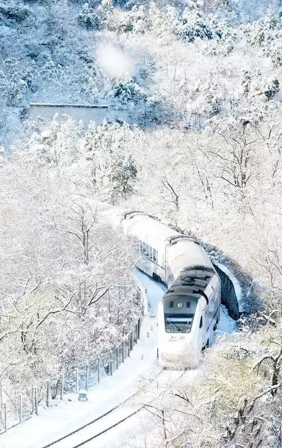 别去日本了！北京这趟6元小火车，带你穿越绝美樱花！沿途风景惊