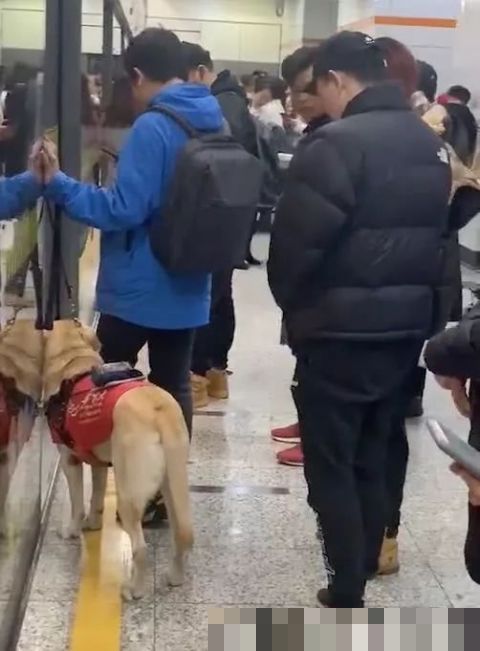 男子地铁不听劝阻多次骚扰导盲犬