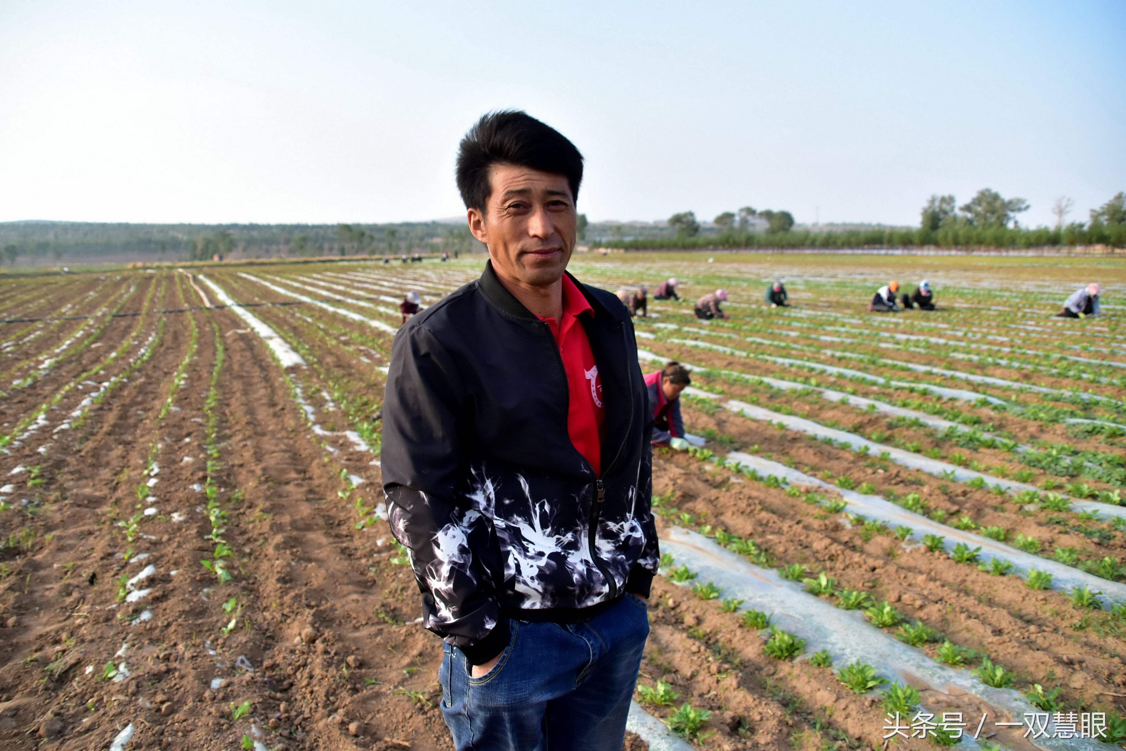 农民包地一千亩三年赔了四十万，土豆西瓜都不好，这个老板太难了