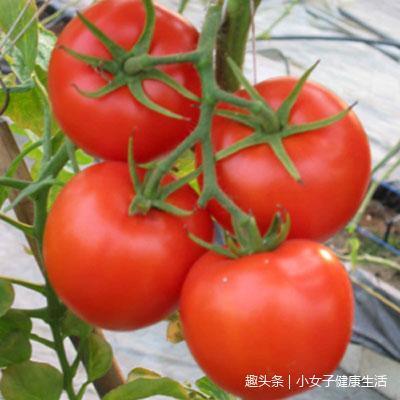 夏天经常生吃西红柿好处多,但什么样的吃法会
