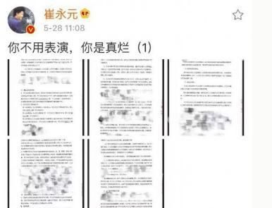 有一说一地严守一是假的，实话实说地崔永元是真的