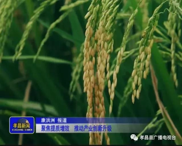 新时代 新作为 我们的2017聚焦提质增效 推动产