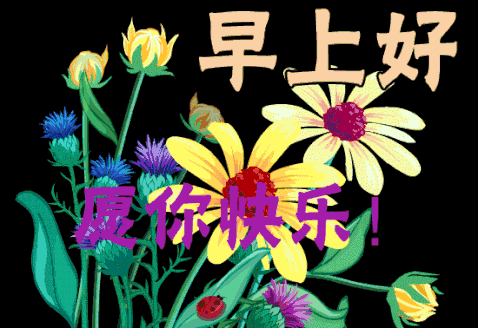 星期三早晨微信动画动态,2019特好看的早上好表示热烈表情包的表情欢迎图片