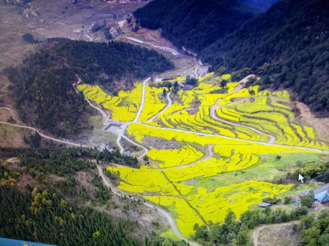 春游赏花踏青的看过来，自驾路线、交通提示在这里！