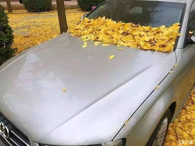 有车的人怎么不开