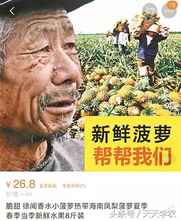 “乌柑”68元\/件，这是新的柑橘品种？好种吗？怎么那么贵？