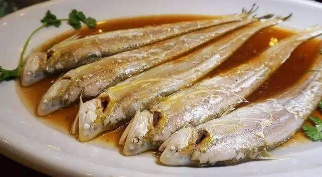 江刀开捕,5000元一斤!苏州人春天最奢华的时令美食已经上线!