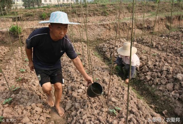 农村这些老话在当下已经渐渐被人们遗忘了，你还记得多少呢?