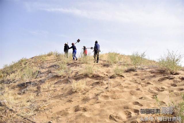 战风暴缚黄龙 八步沙漠变绿洲 祁连山下织锦绣