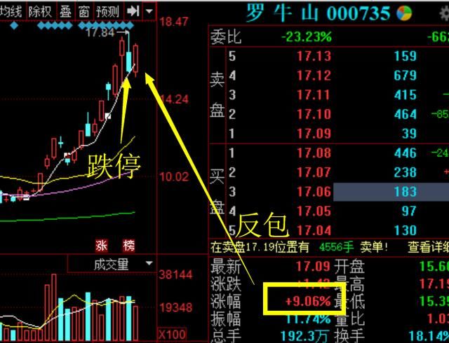 A股最傻逼公司：怒呛管理层后暴跌10%，小散：这是要作死？