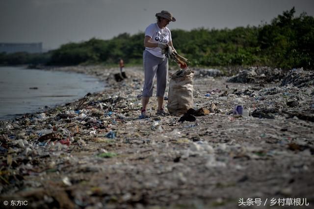 农业粮食补贴发放时间确定，这种情况下领不到补贴！快看有你吗？