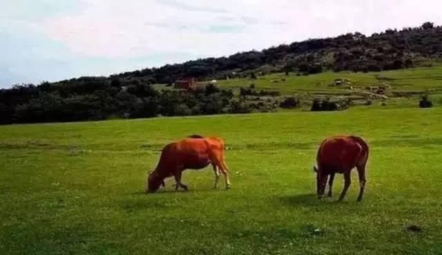 吴丹世界游记 这座山名气不大，但是却藏着罕见的美丽景色