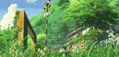 有钱任性！土豪们最爱选的庭院树，你选对了吗？