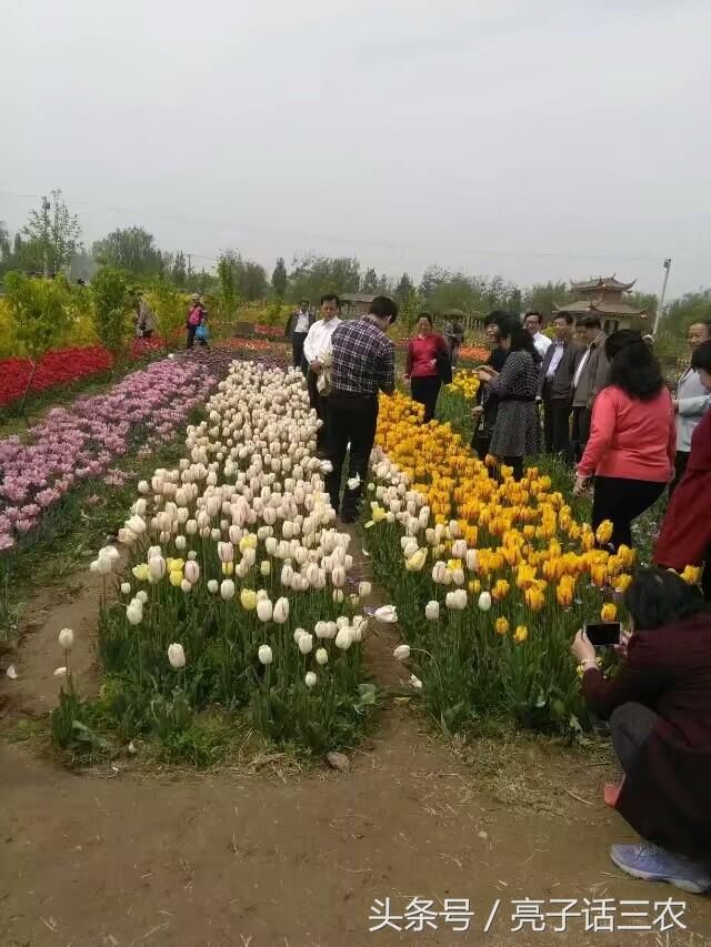 关于农村土地流转的规定与原则