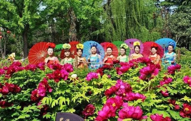牡丹文化节期间,你被他们暖到了吗?