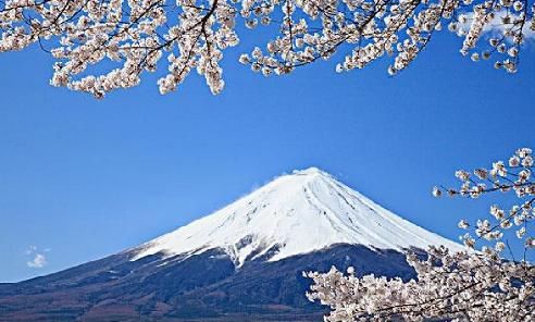 天了噜！日本富士山居然是私人财产 政府每年还得缴纳租金？