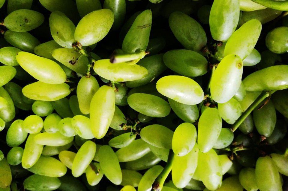 离核桃10元3斤 鲜枣一盒3斤100元 水果店水果