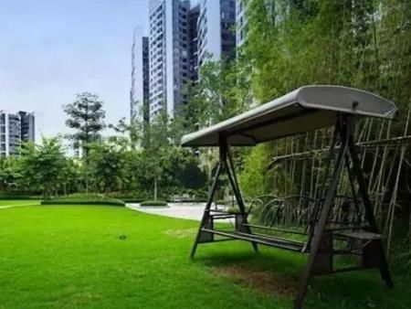 小区露天停车位和这些收入都归业主共有?