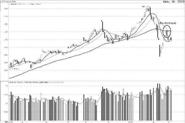 IF将逐渐进入小幅波动走势 IC 向区间上沿运行